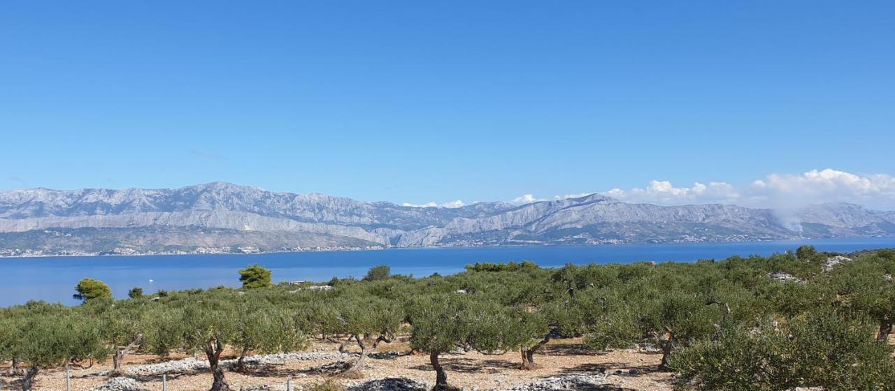 Bayview Apartment Trogir Ngoại thất bức ảnh